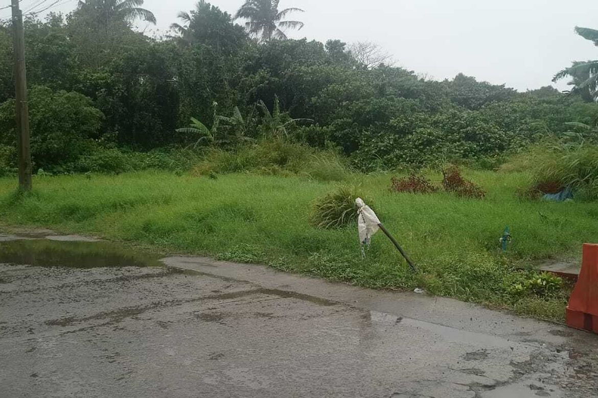 Land for Sale in Silang Junction North, Tagaytay, Cavite – photo 2