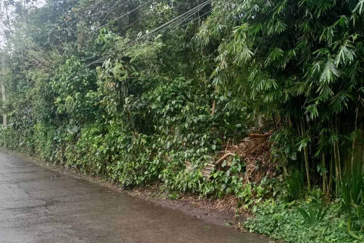 Land for Sale in Silang Junction North, Tagaytay, Cavite – photo 3