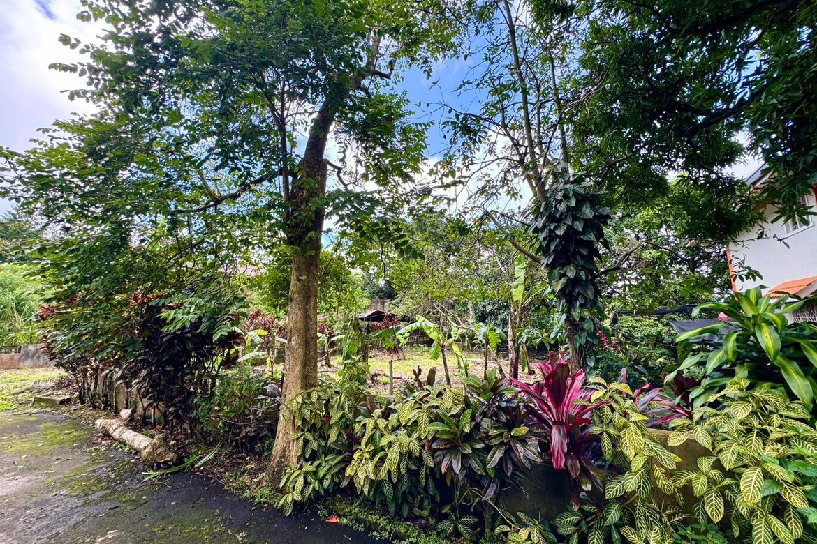 Land for Sale in Silang Junction North, Tagaytay, Cavite – photo 2