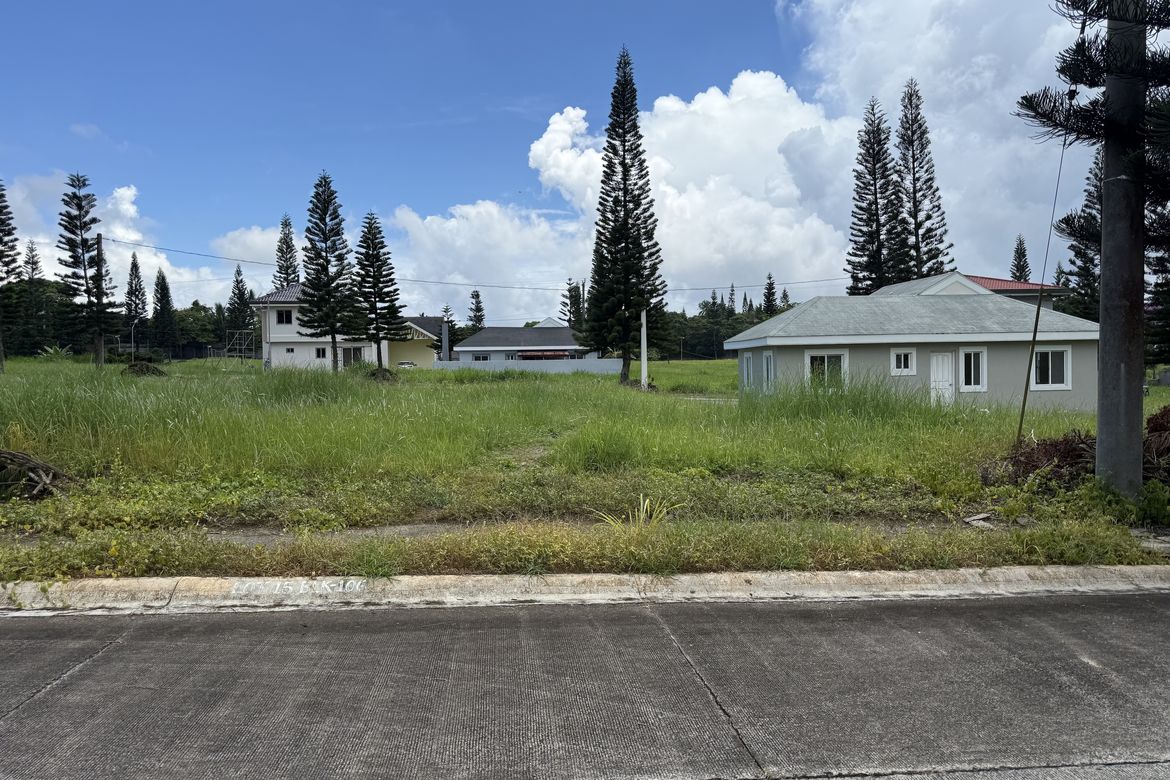 Land for Sale in Silang Junction North, Tagaytay, Cavite