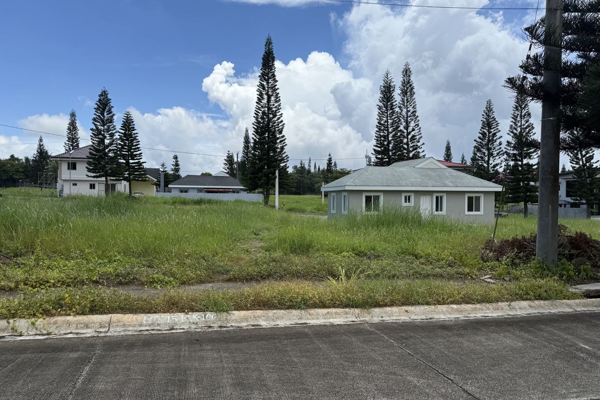 Land for Sale in Silang Junction North, Tagaytay, Cavite – photo 2
