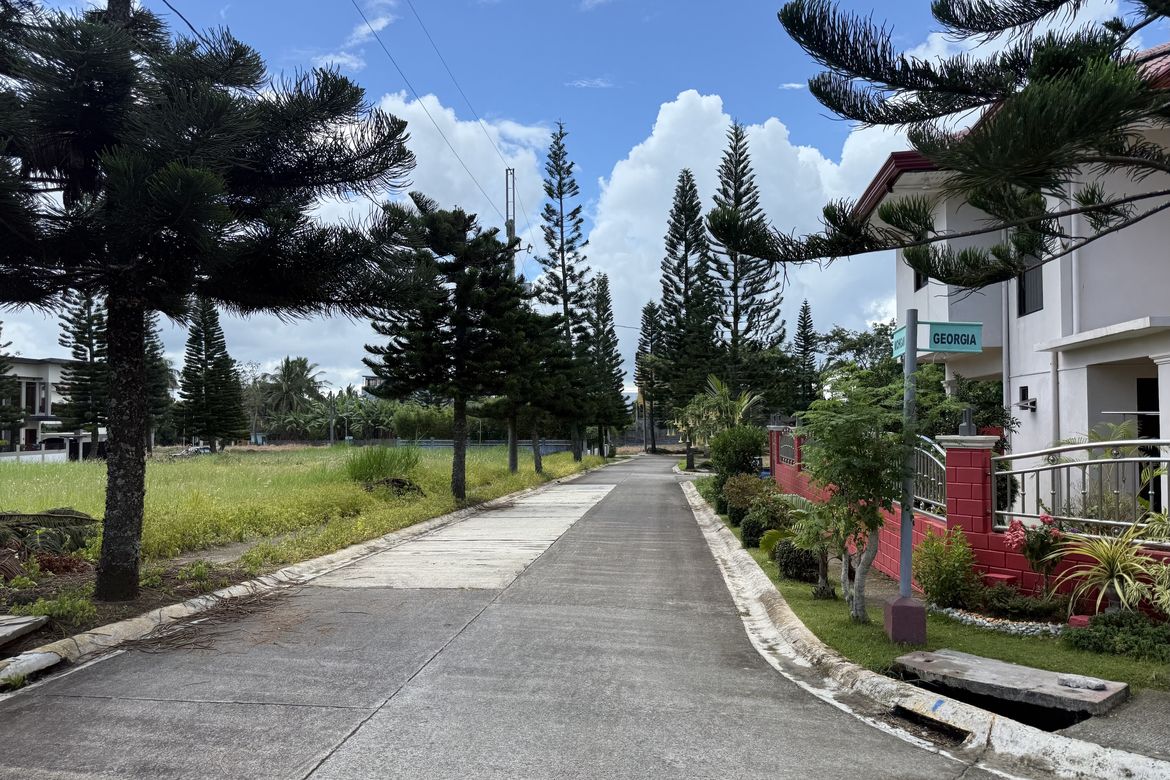 Land for Sale in Silang Junction North, Tagaytay, Cavite – photo 3