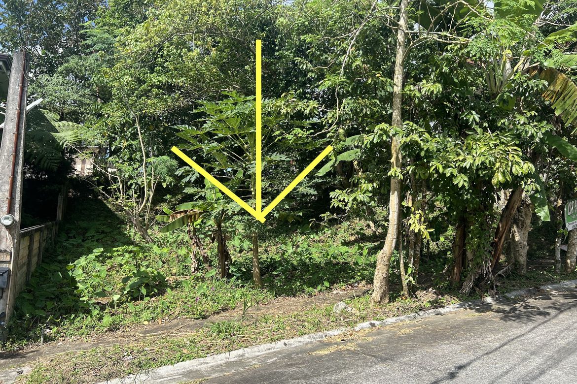 Land for Sale in Silang Junction North, Tagaytay, Cavite – photo 2