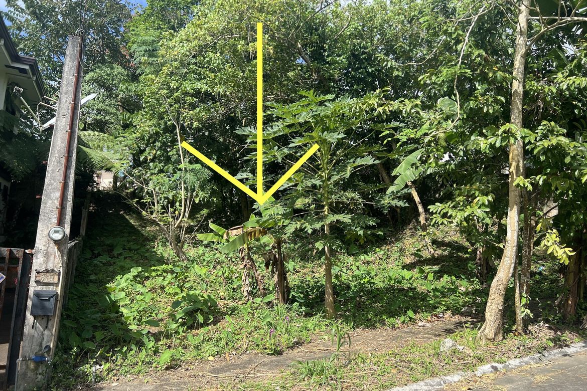 Land for Sale in Silang Junction North, Tagaytay, Cavite – photo 3