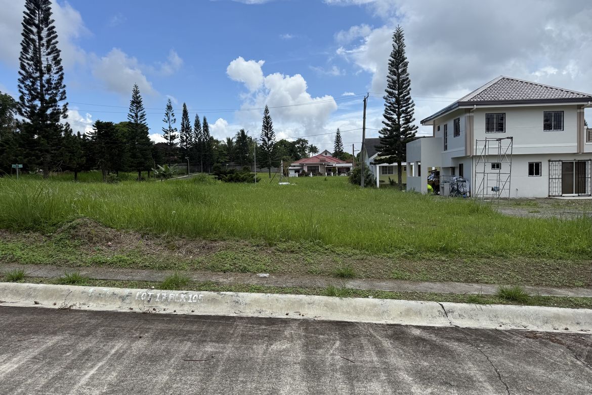 Land for Sale in Silang Junction North, Tagaytay, Cavite