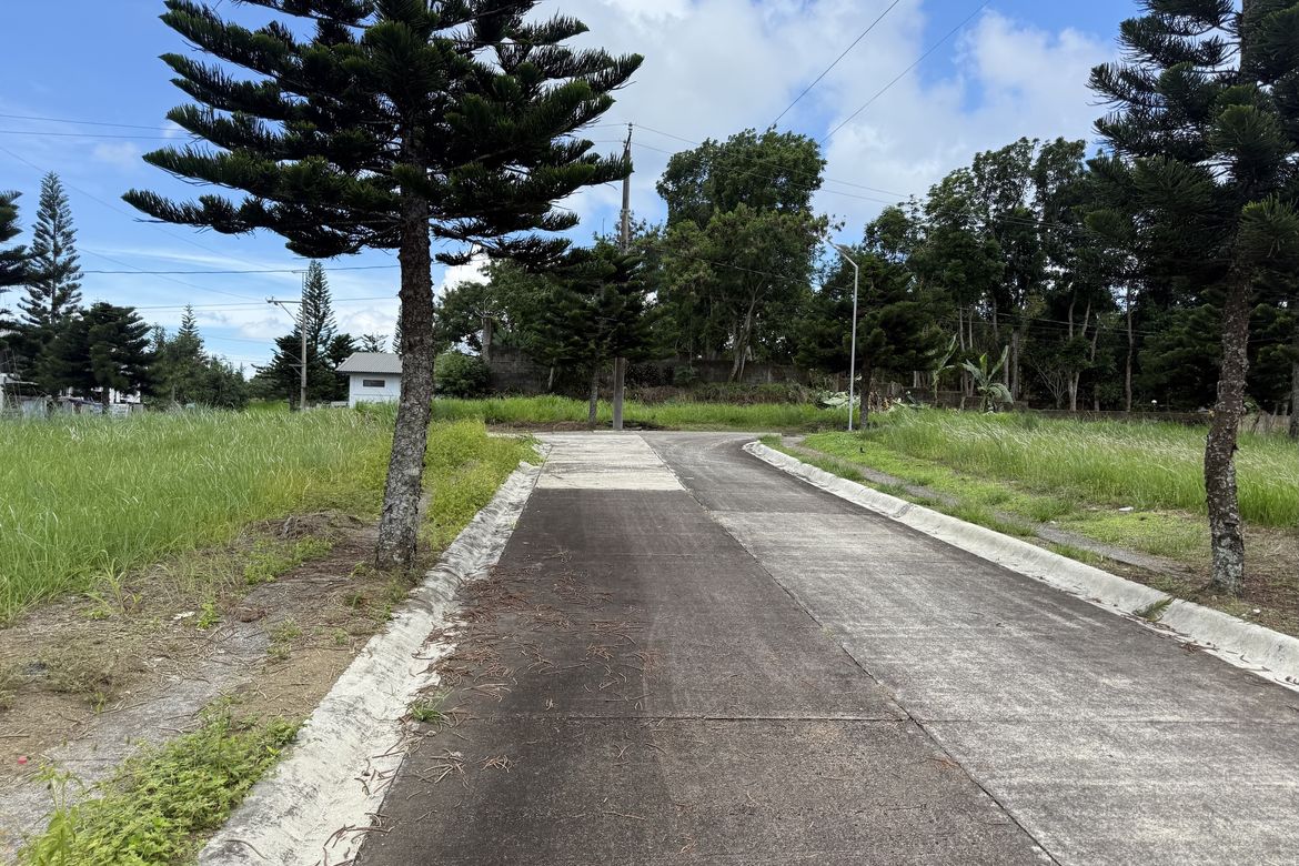 Land for Sale in Silang Junction North, Tagaytay, Cavite – photo 4