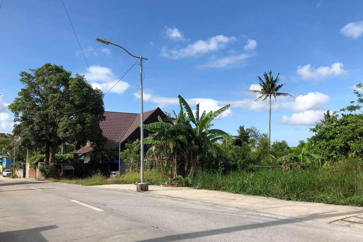 Land for Sale in Silang Junction North, Tagaytay, Cavite – photo 5