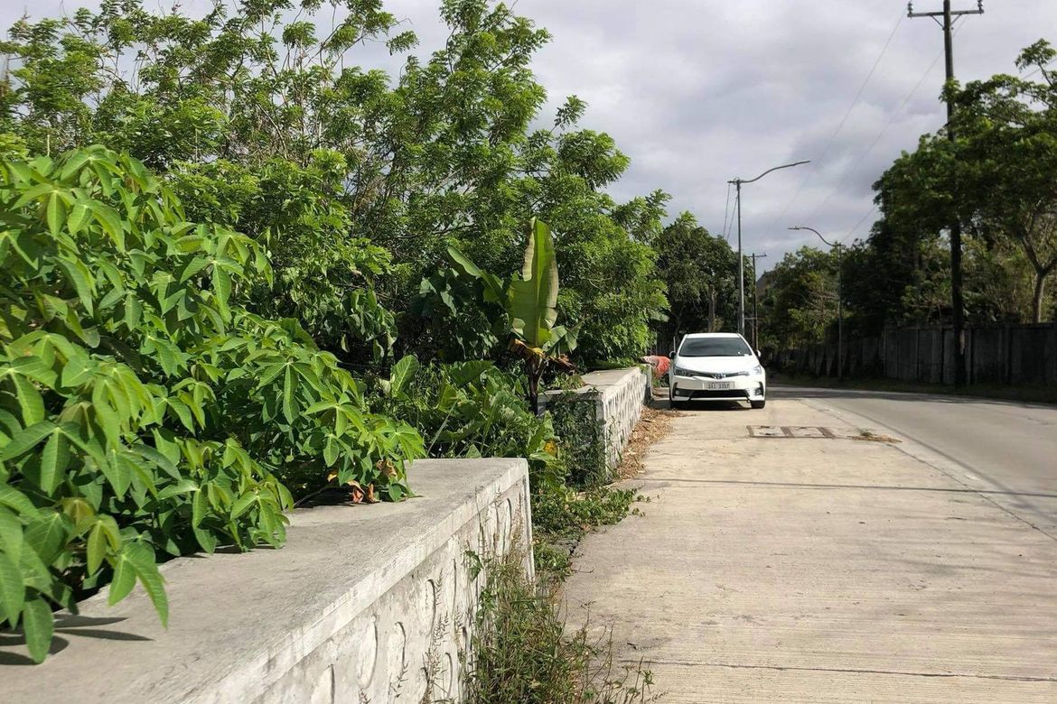 Land for Sale in Silang Junction North, Tagaytay, Cavite – photo 7