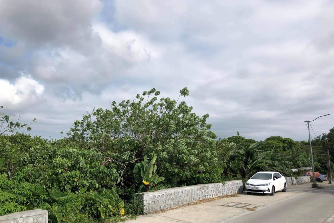 Land for Sale in Silang Junction North, Tagaytay, Cavite – photo 8