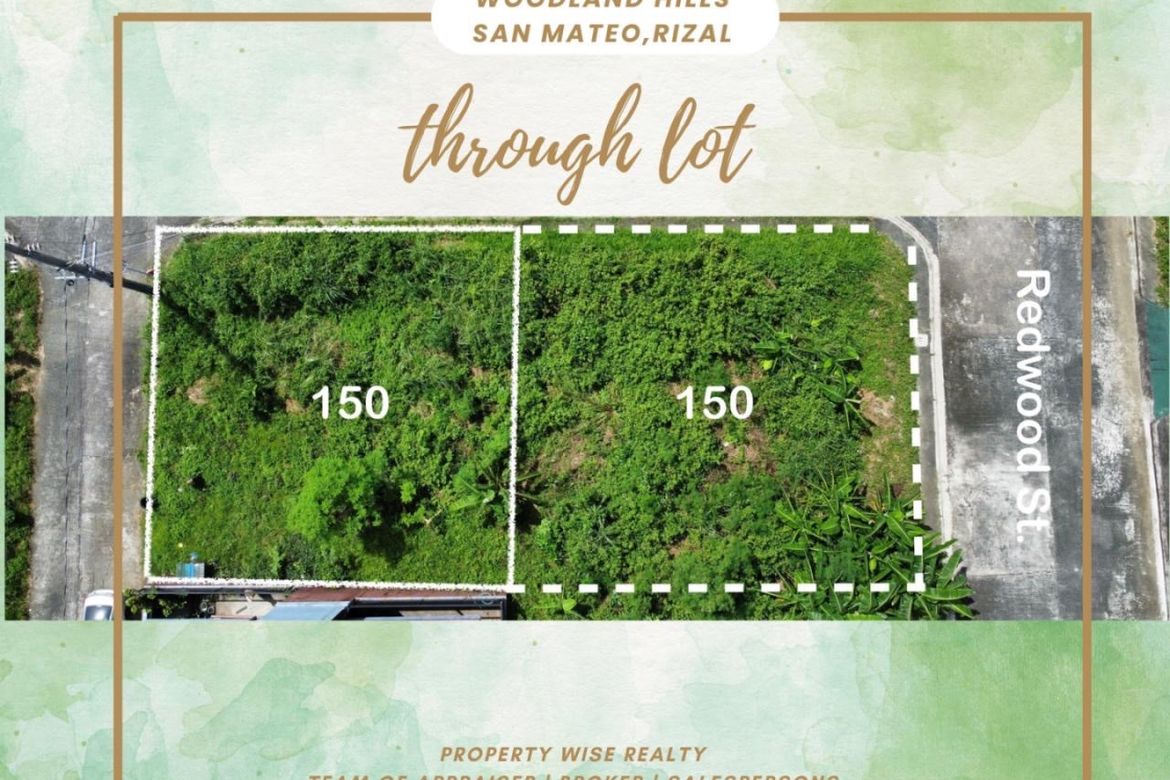 Land for Sale in Silangan, San Mateo, Rizal – photo 4