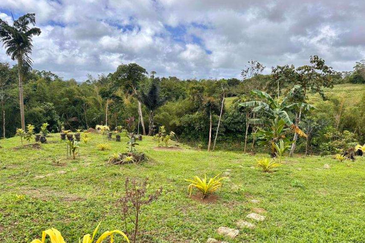 Land for Sale in Silangan Talaongan, Cavinti, Laguna – photo 2