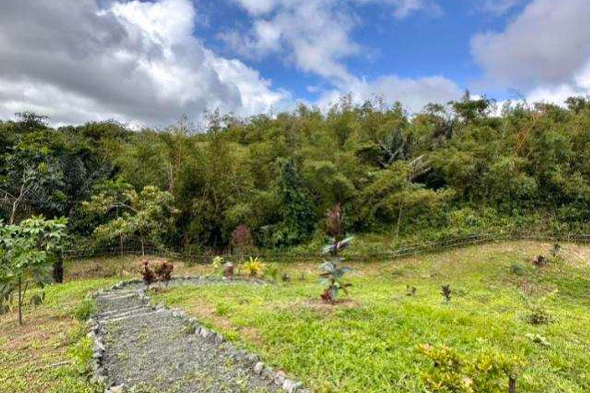 Land for Sale in Silangan Talaongan, Cavinti, Laguna – photo 4