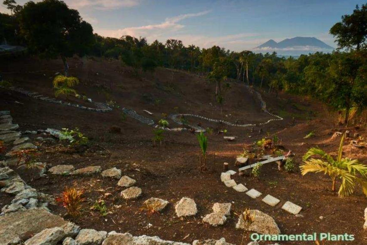 Land for Sale in Silangan Talaongan, Cavinti, Laguna – photo 8