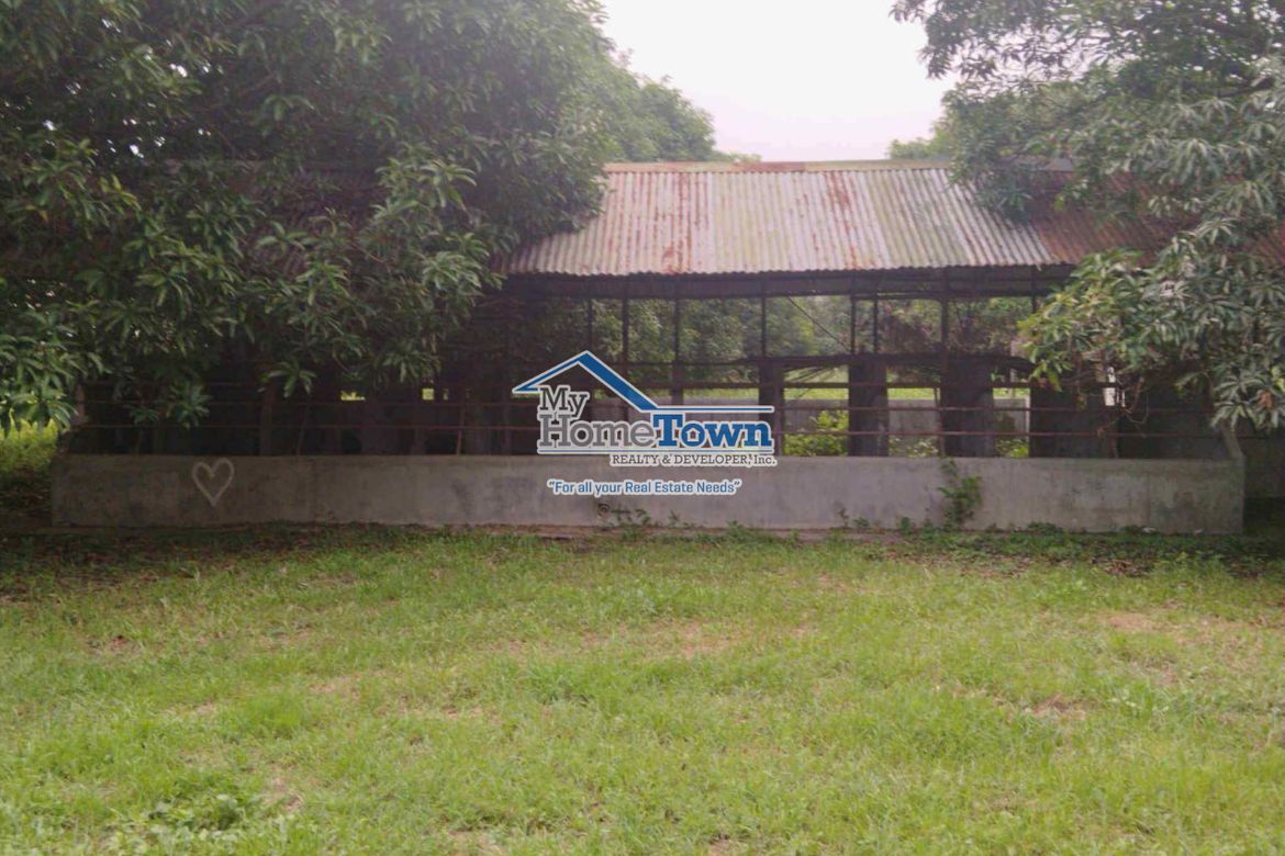 Land for Sale in Siling Bata, Pandi, Bulacan – photo 5
