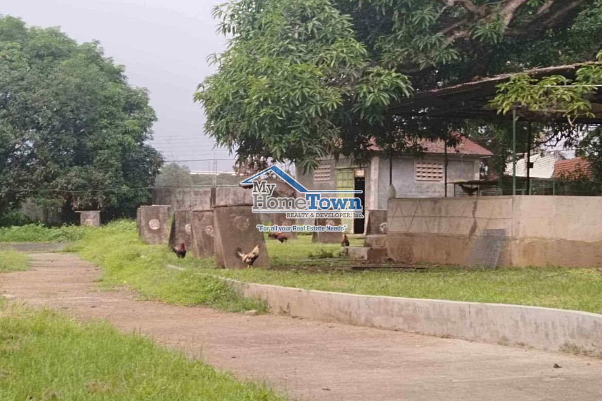 Land for Sale in Siling Bata, Pandi, Bulacan – photo 6