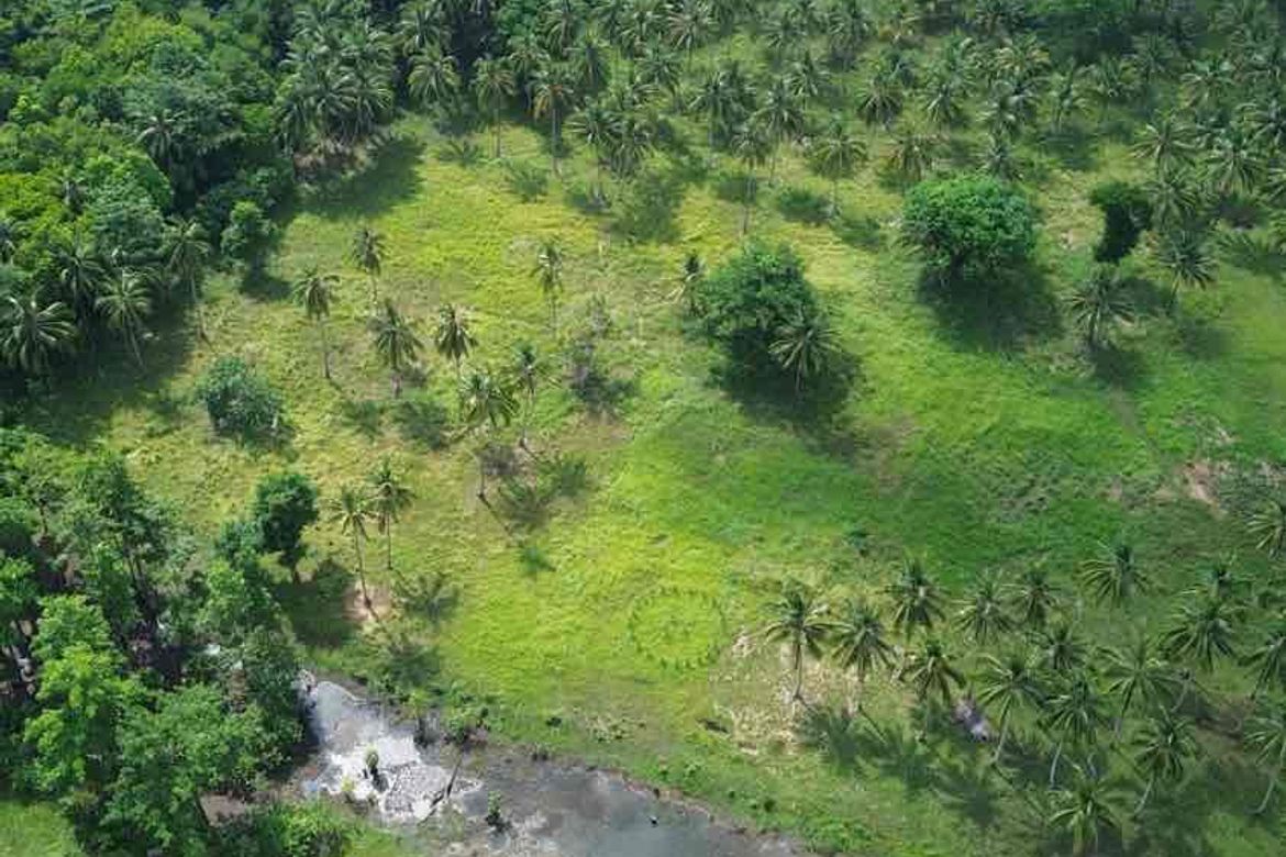 Land for Sale in Simpocan, Puerto Princesa, Palawan – photo 4