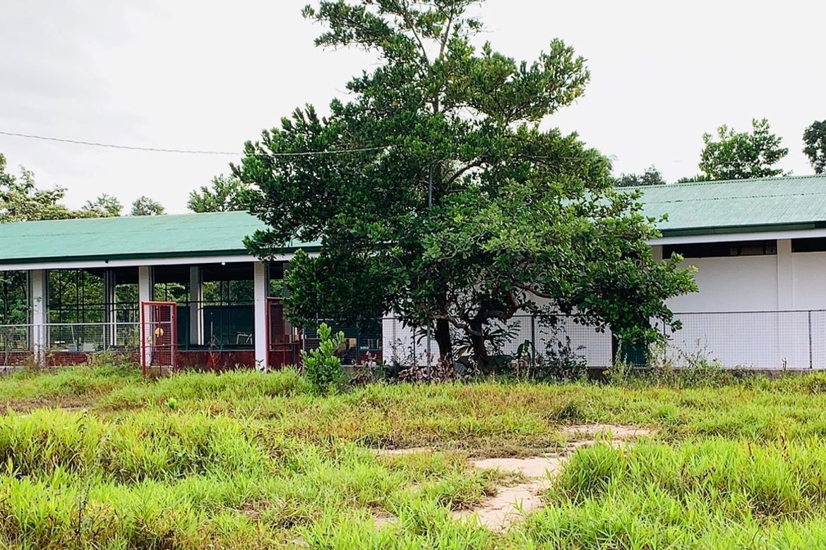 Land for Sale in Simpocan, Puerto Princesa, Palawan – photo 3