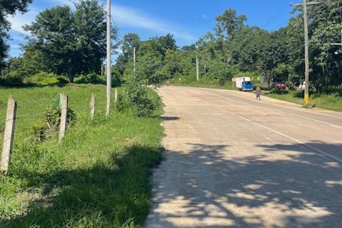 Land for Sale in Simpocan, Puerto Princesa, Palawan