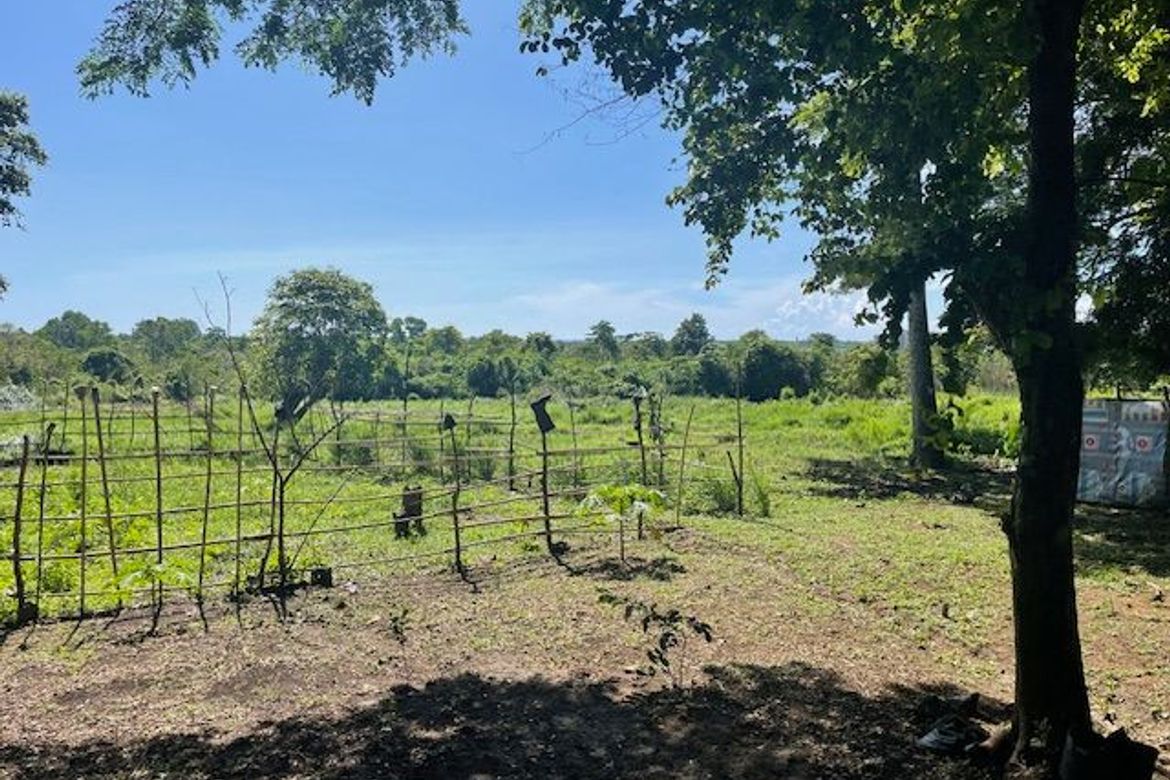 Land for Sale in Simpocan, Puerto Princesa, Palawan – photo 3