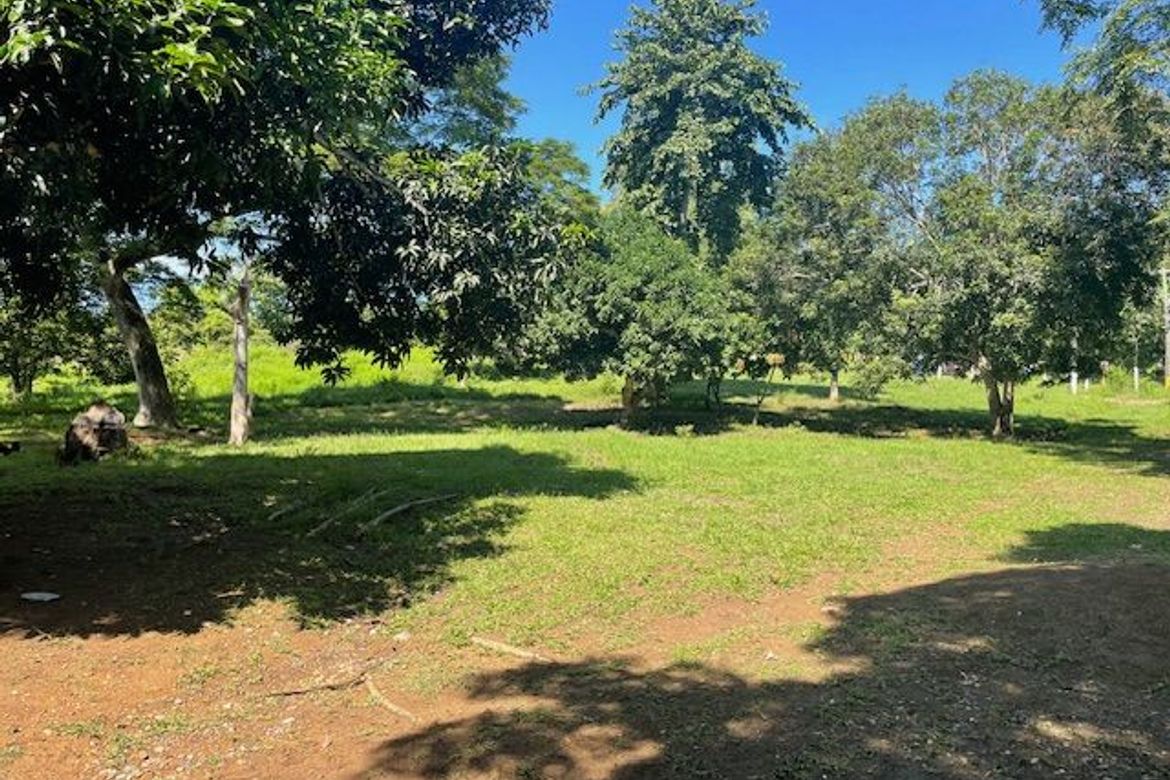 Land for Sale in Simpocan, Puerto Princesa, Palawan – photo 4