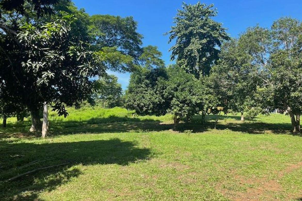 Land for Sale in Simpocan, Puerto Princesa, Palawan – photo 6