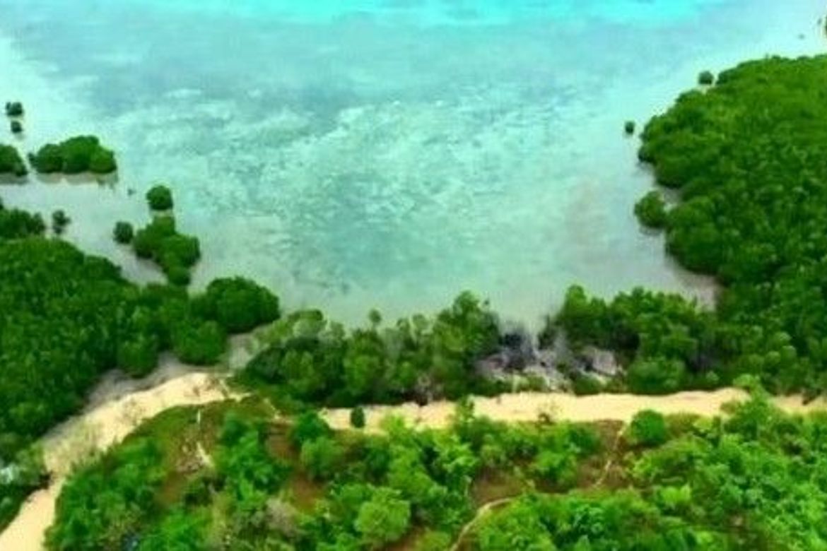 Land for Sale in Simpocan, Puerto Princesa, Palawan – photo 2