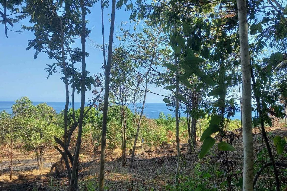 Land for Sale in Simpocan, Puerto Princesa, Palawan – photo 3
