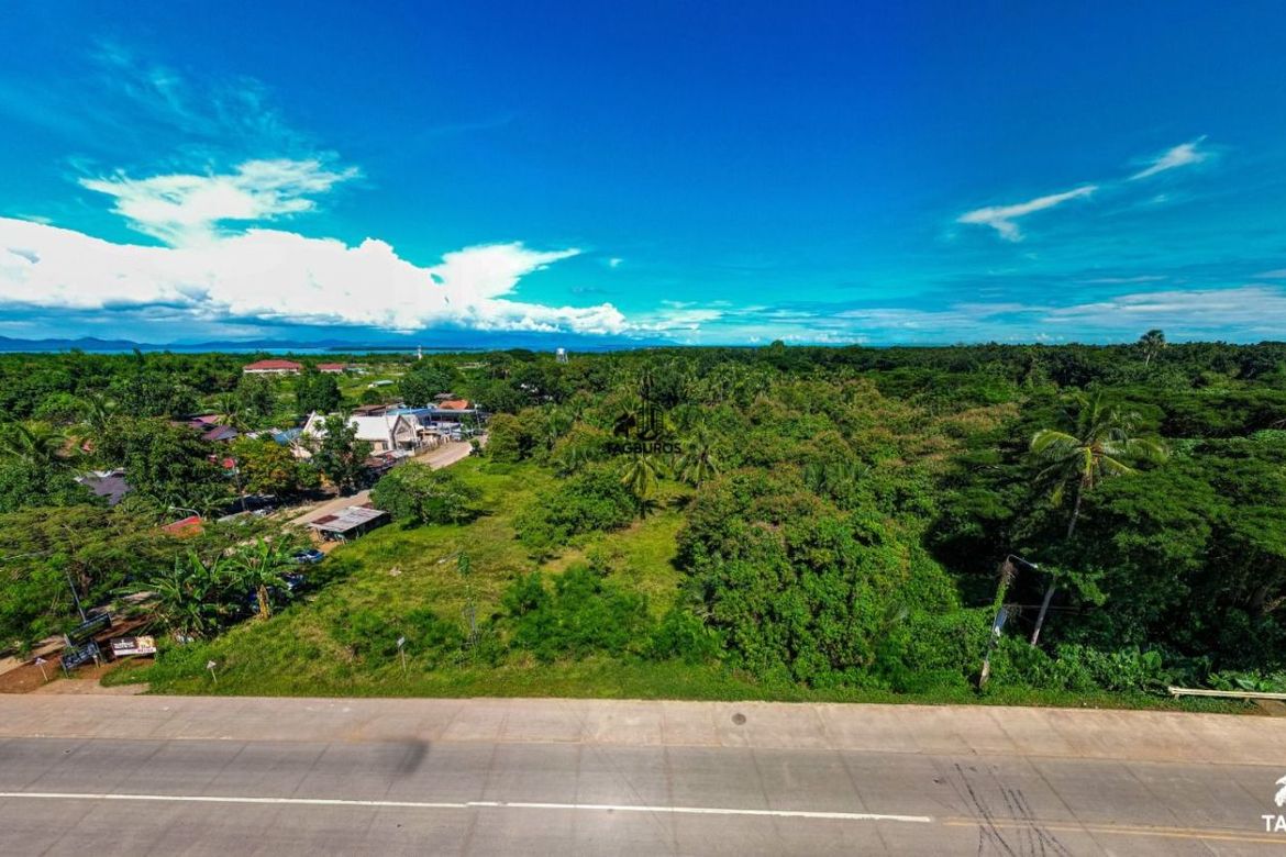 Land for Sale in Simpocan, Puerto Princesa, Palawan – photo 3
