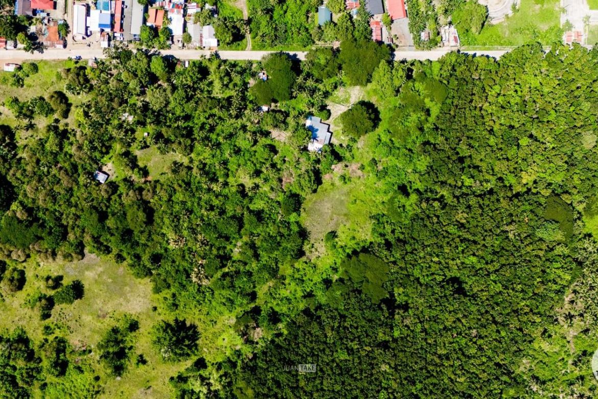 Land for Sale in Simpocan, Puerto Princesa, Palawan – photo 6