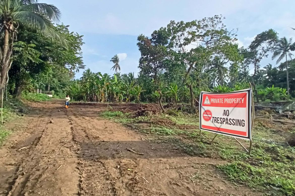 Land for Sale in Sinaliw Malaki, Alfonso, Cavite – photo 2