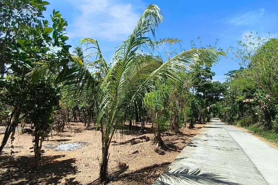 Land for Sale in Sinaliw Malaki, Alfonso, Cavite