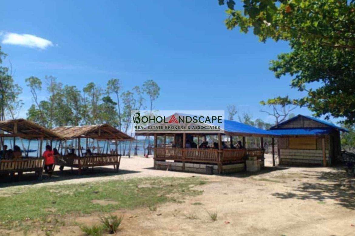Land for Sale in Sinandigan, Ubay, Bohol