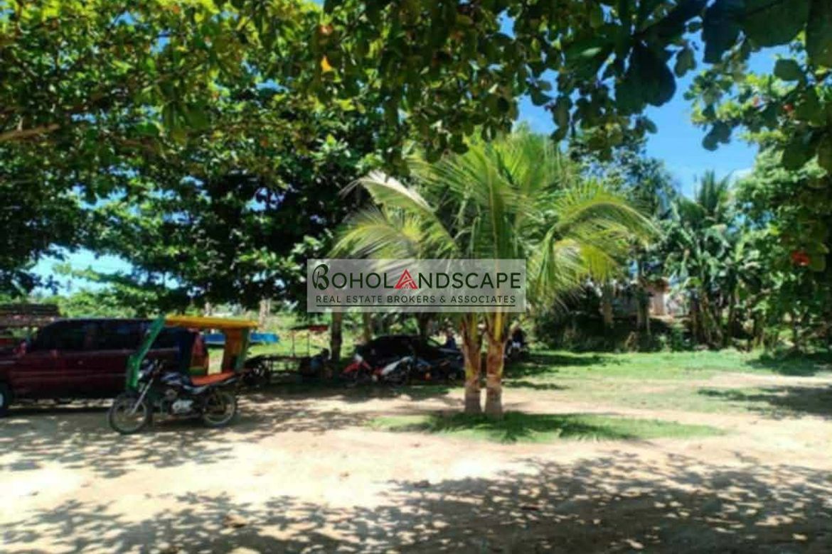 Land for Sale in Sinandigan, Ubay, Bohol – photo 7