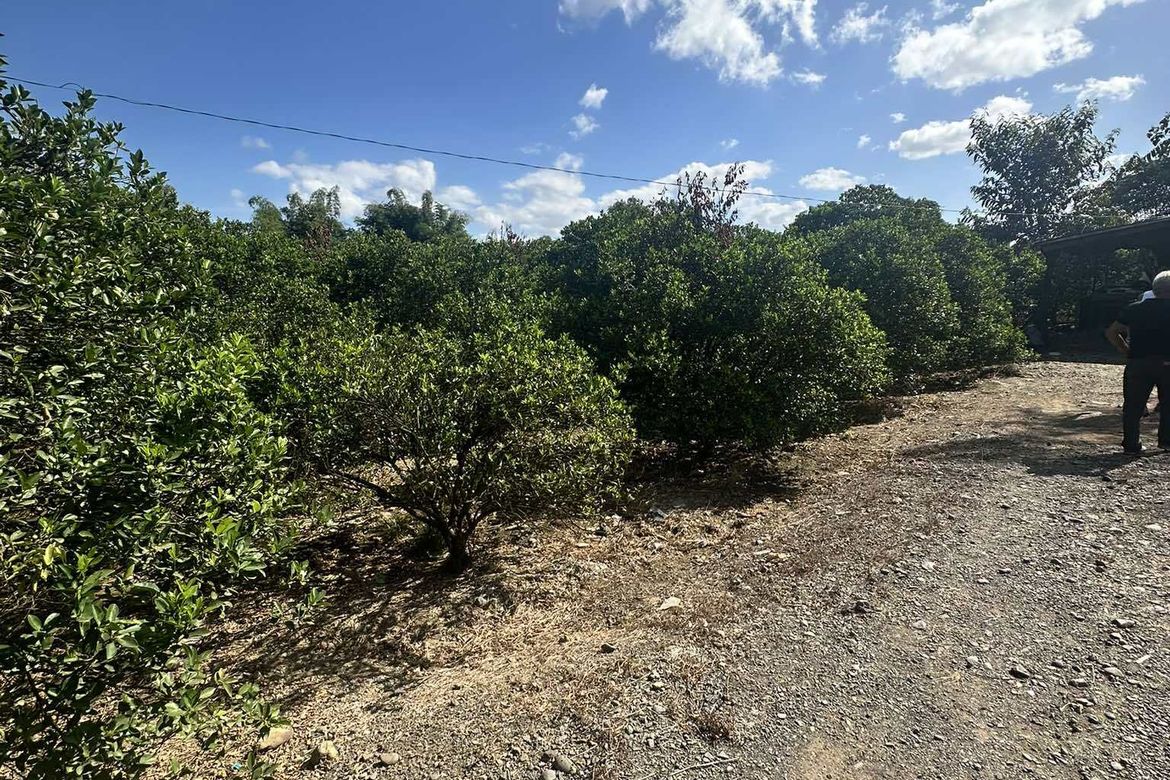 Land for Sale in Sinasajan, Peñaranda, Nueva Ecija