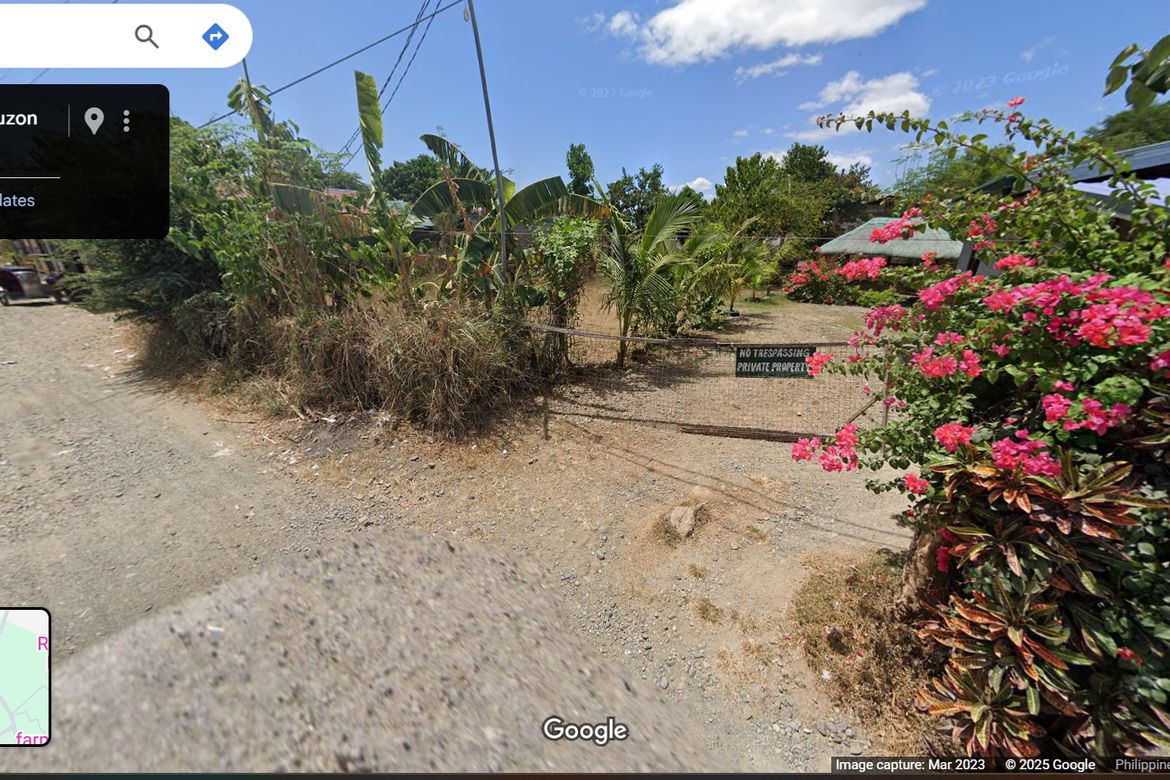 Land for Sale in Sinasajan, Peñaranda, Nueva Ecija – photo 2
