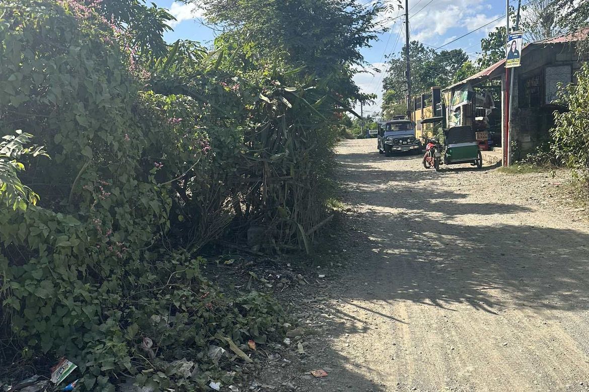 Land for Sale in Sinasajan, Peñaranda, Nueva Ecija – photo 6