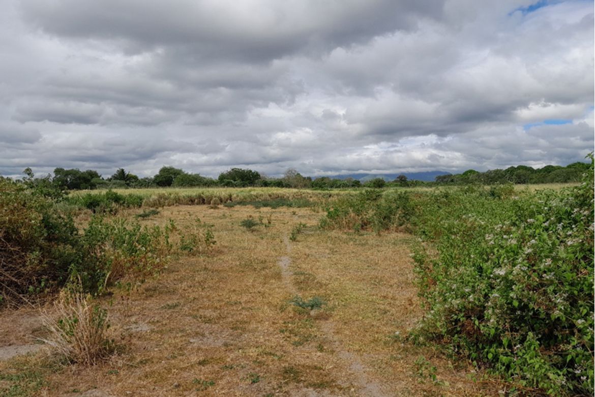 Land for Sale in Sinawal, General Santos, South Cotabato – photo 5