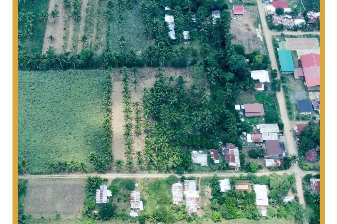 Land for Sale in Sinaysayan, Kitaotao, Bukidnon – photo 2