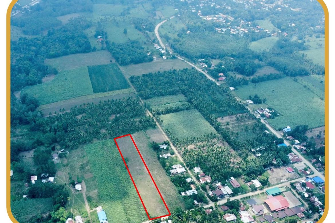 Land for Sale in Sinaysayan, Kitaotao, Bukidnon – photo 3