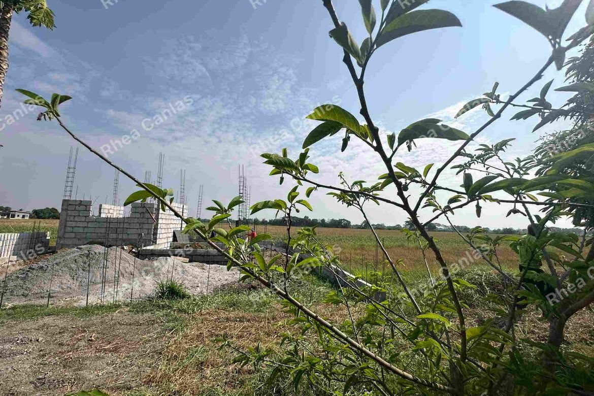 Land for Sale in Sinipit, Cabiao, Nueva Ecija – photo 3