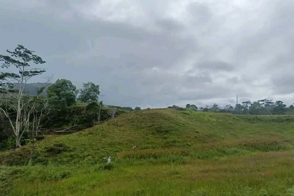 Land for Sale in Sinuda, Kitaotao, Bukidnon