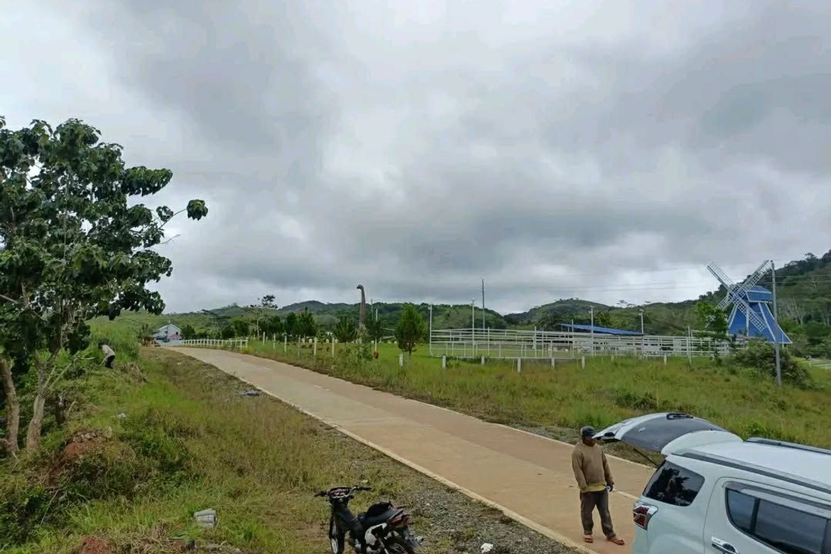 Land for Sale in Sinuda, Kitaotao, Bukidnon – photo 2