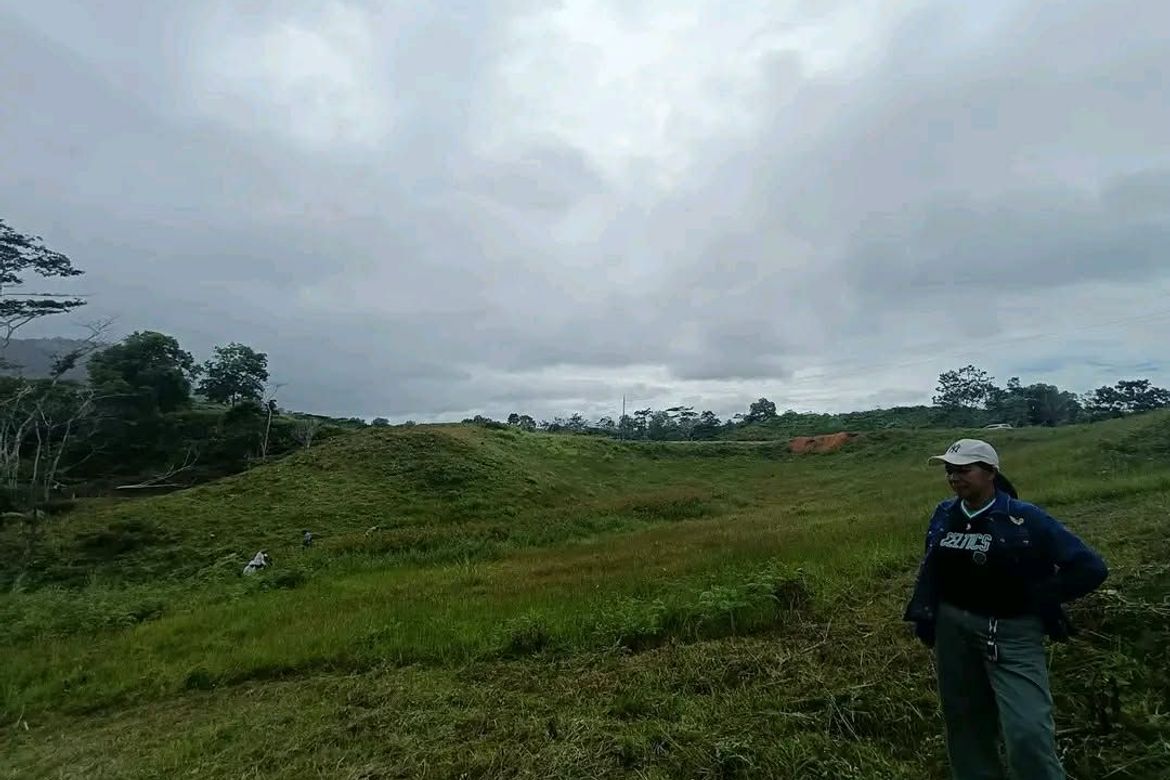 Land for Sale in Sinuda, Kitaotao, Bukidnon – photo 3