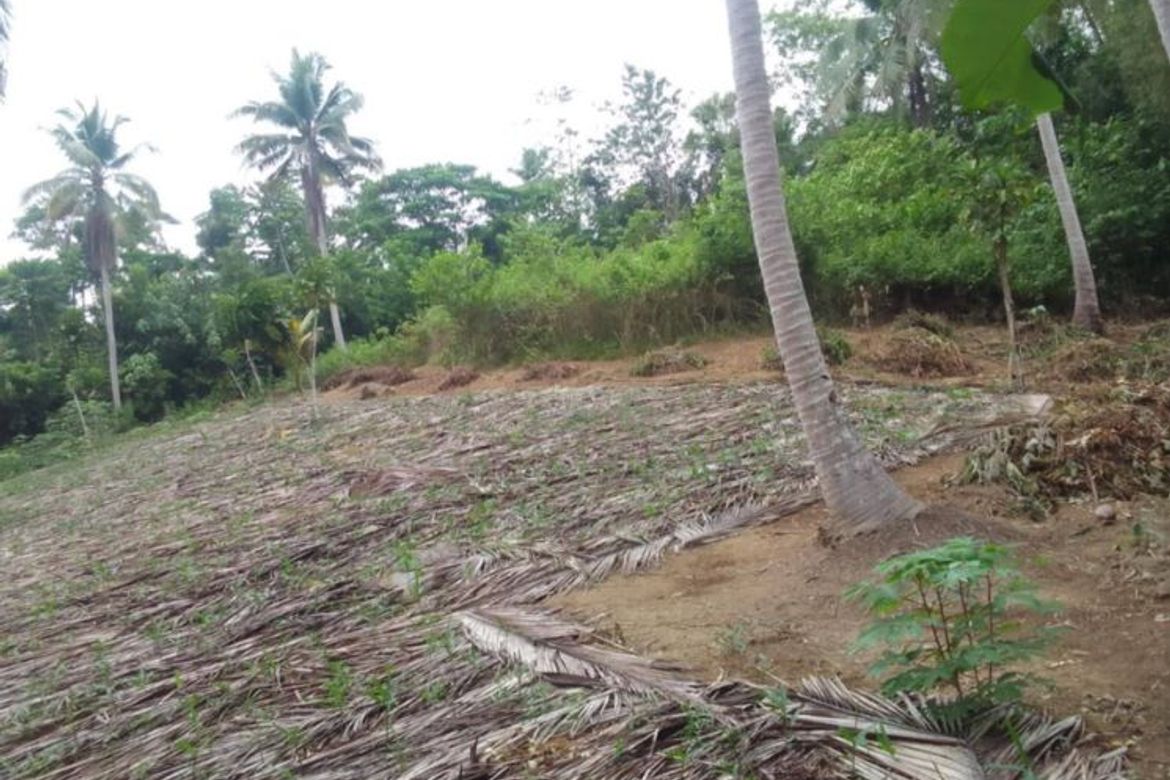 Land for Sale in Sinuknipan I, Del Gallego, Camarines Sur – photo 5