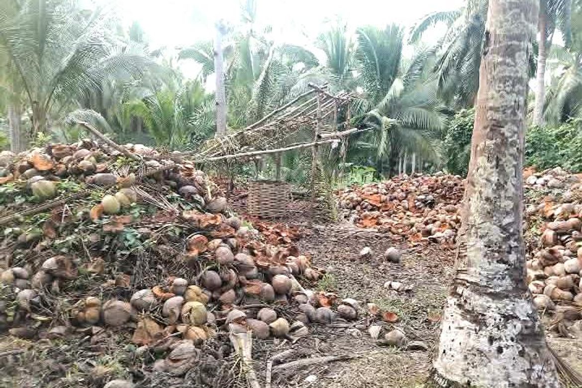 Land for Sale in Sinuknipan I, Del Gallego, Camarines Sur – photo 3