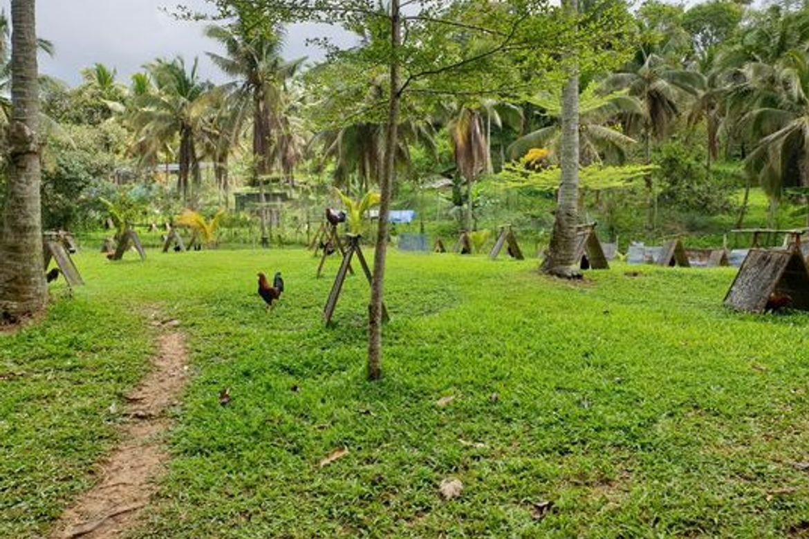 Land for Sale in Sirao, Cebu City, Cebu