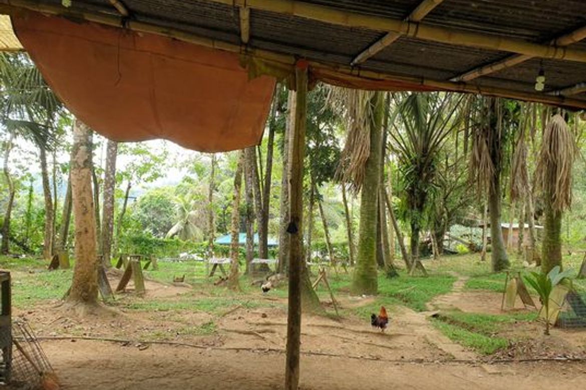 Land for Sale in Sirao, Cebu City, Cebu – photo 2