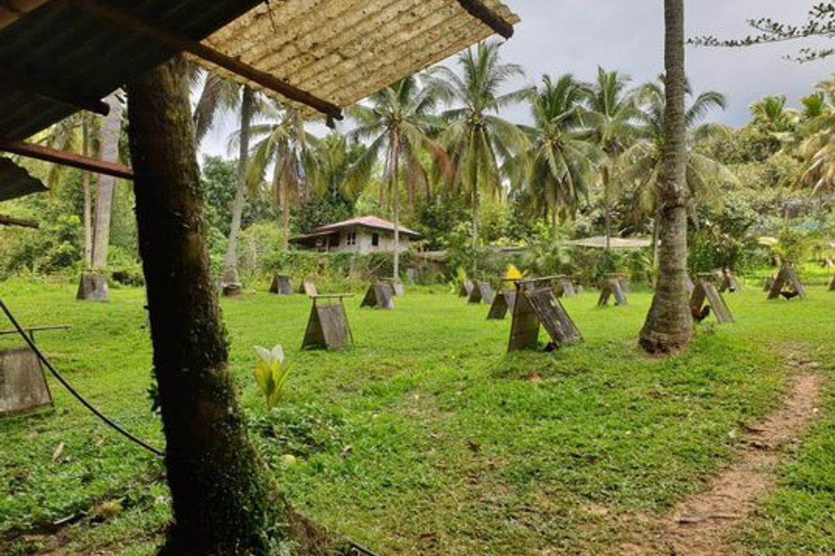 Land for Sale in Sirao, Cebu City, Cebu – photo 3