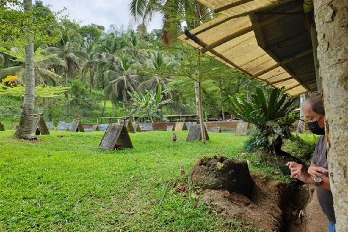 Land for Sale in Sirao, Cebu City, Cebu – photo 4