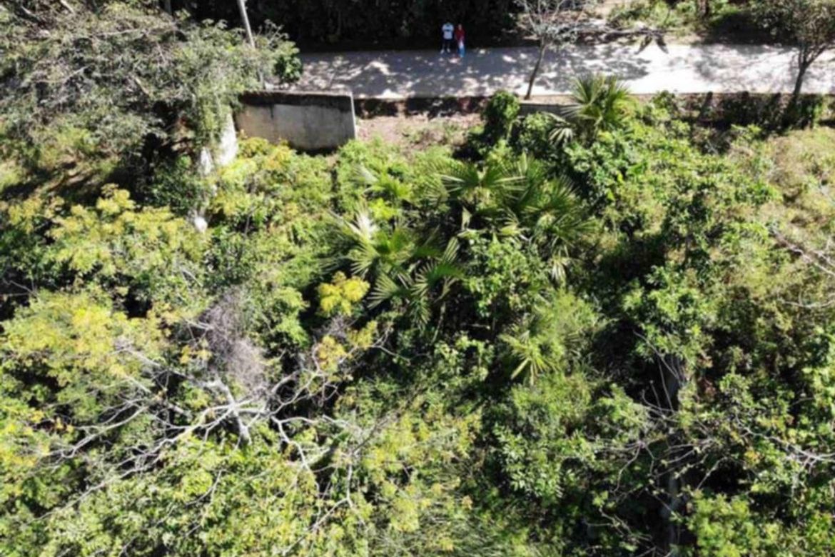 Land for Sale in Sirao, Cebu City, Cebu – photo 3